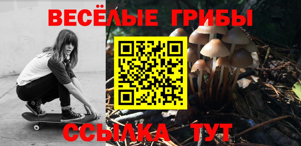 Псилоцибиновые грибы ЛСД Орехово-Зуево
