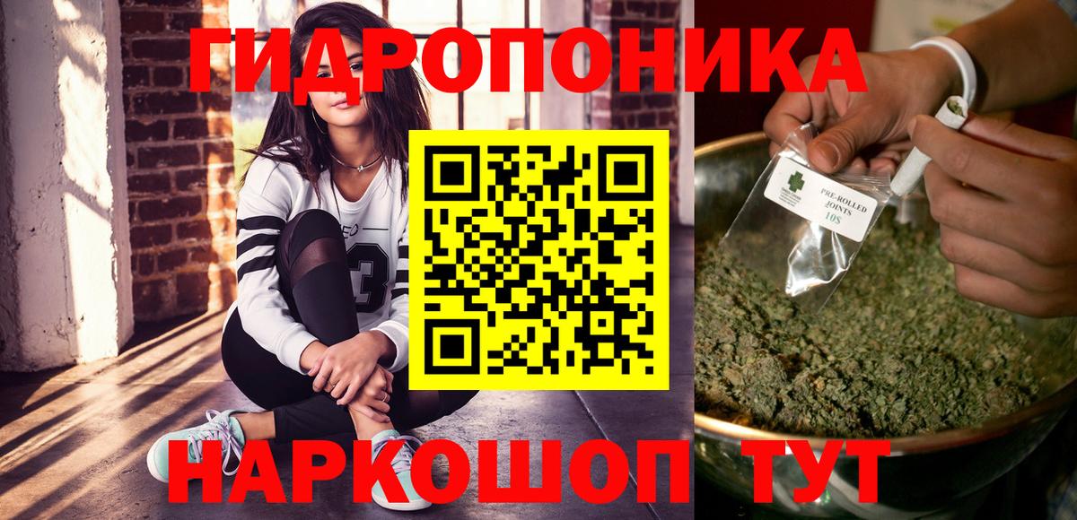 Бошки Шишки семена  Канабис сатива  Бошки Шишки OG Kush  Вход с VPN  Орехово-Зуево 
